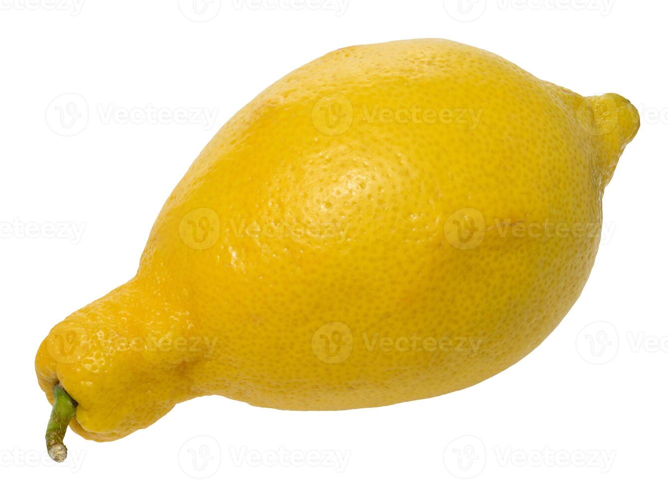 Whole lemon with a yellow, textured peel and a small stem, isolated background. Fruit has an elongated shape photo