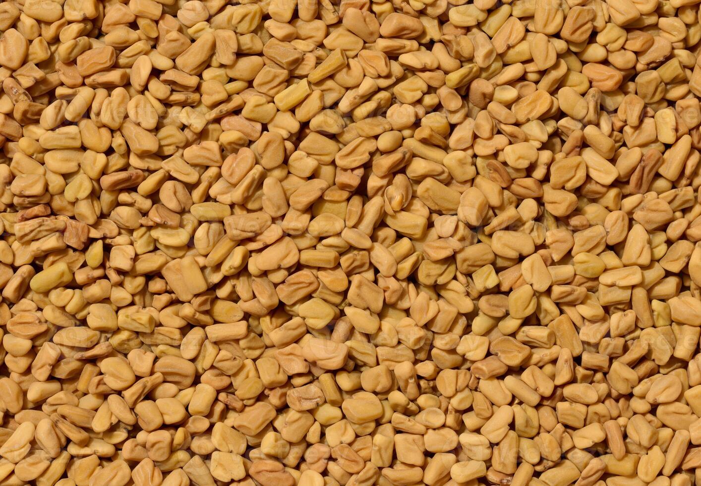 A detailed, top down close up of a dense pile of dry, light brown fenugreek seeds. photo