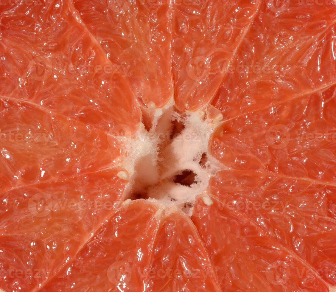 Close up of a halved pink grapefruit, showcasing its juicy segments, white pith, and textured surface. photo