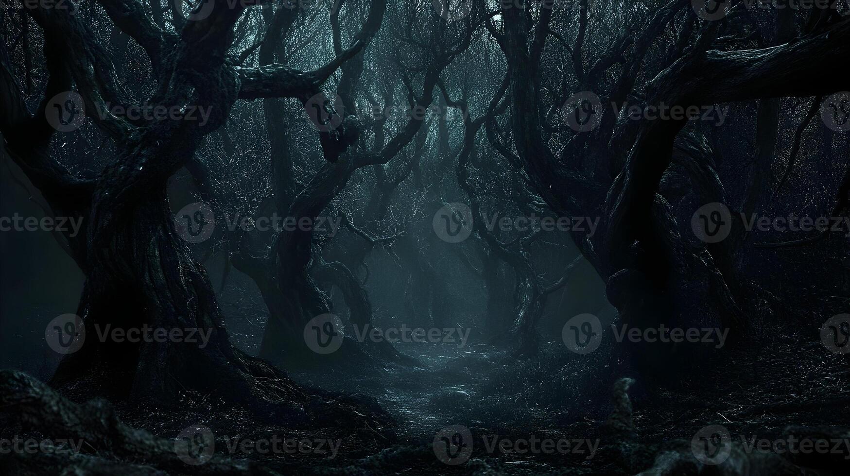 Foggy Forest Path Surrounded By Ancient, Twisted Trees, Evoking A Haunting And Mystical Environment. photo