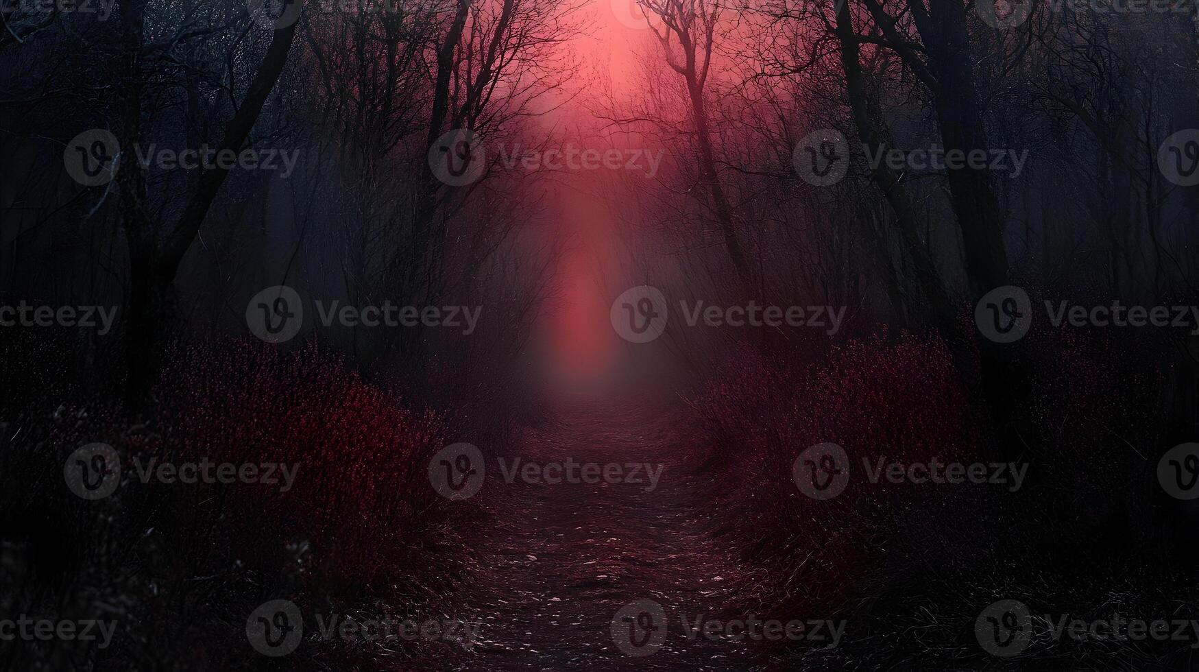 Misty woodland trail with an intense red glow, evoking a sense of mystery and suspense in the twilight. photo