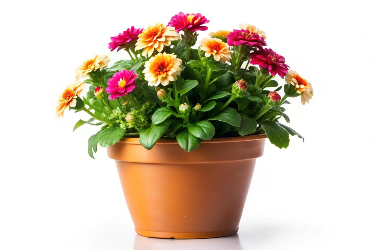 colorful potted flowers in terracotta pot vibrant garden decor potted flowers with pink yellow blooms garden charm photo