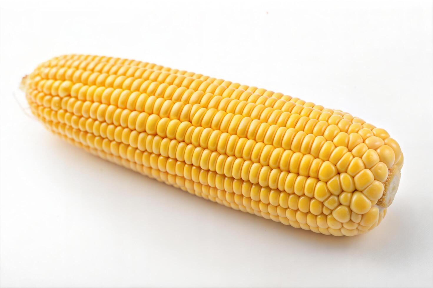 Unpeeled Yellow Corn Cob in High Resolution photo
