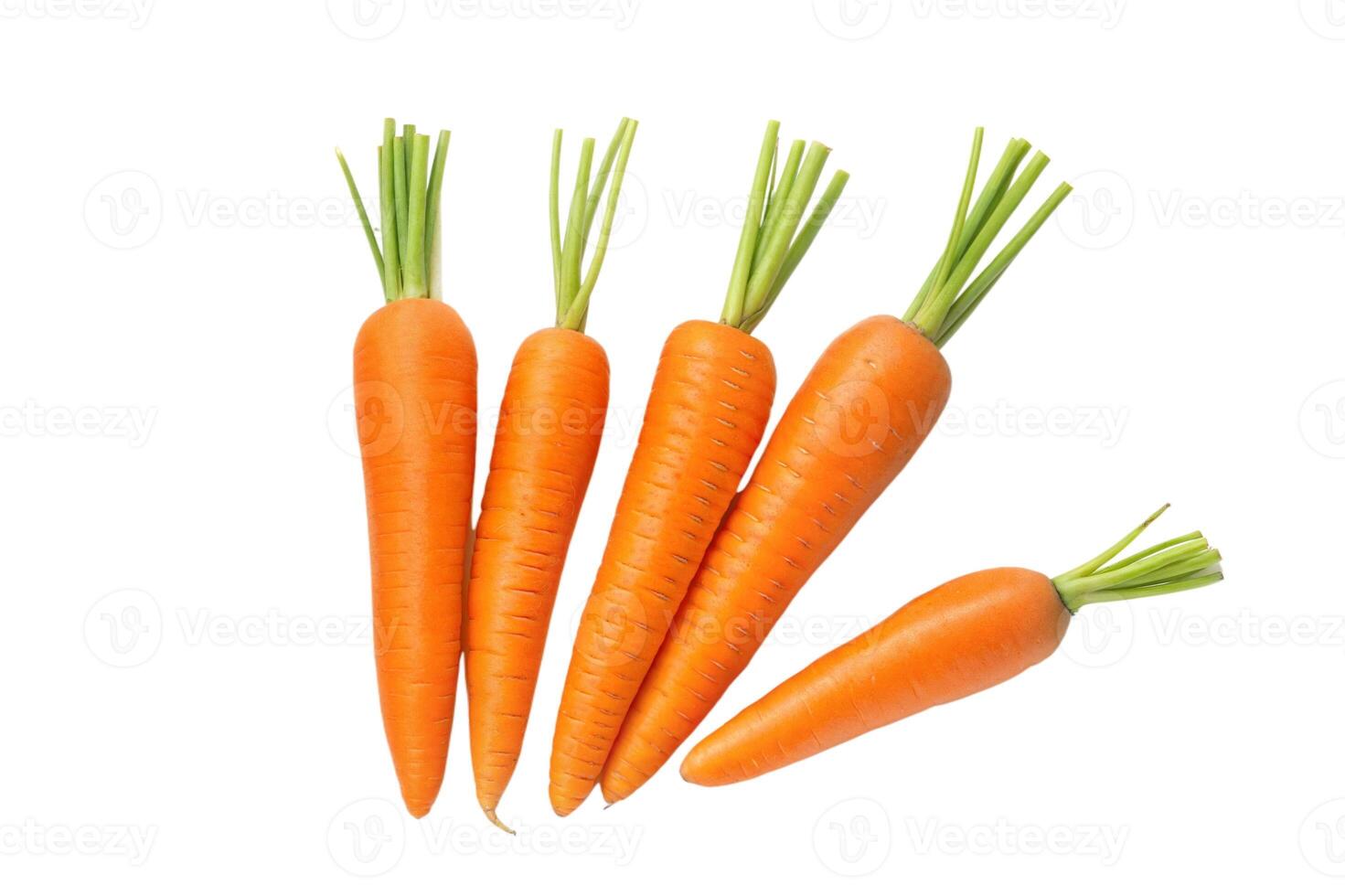 A Single Carrot, A Thousand Words photo