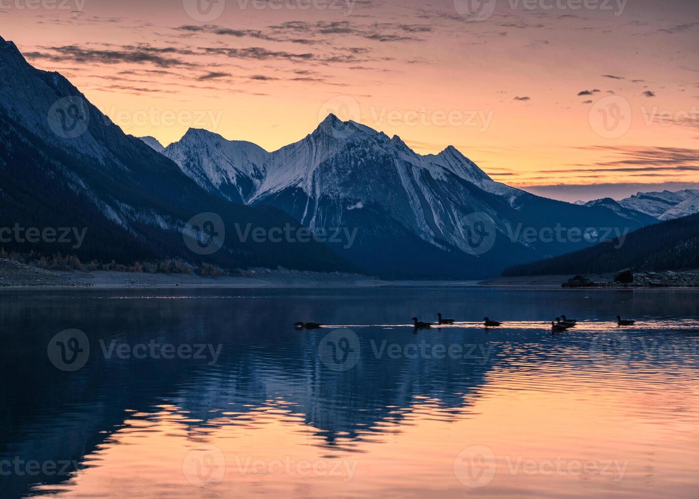 Canadian Rockies with colorful sky and flock of teal floating on Medicine Lake in Jasper national park photo