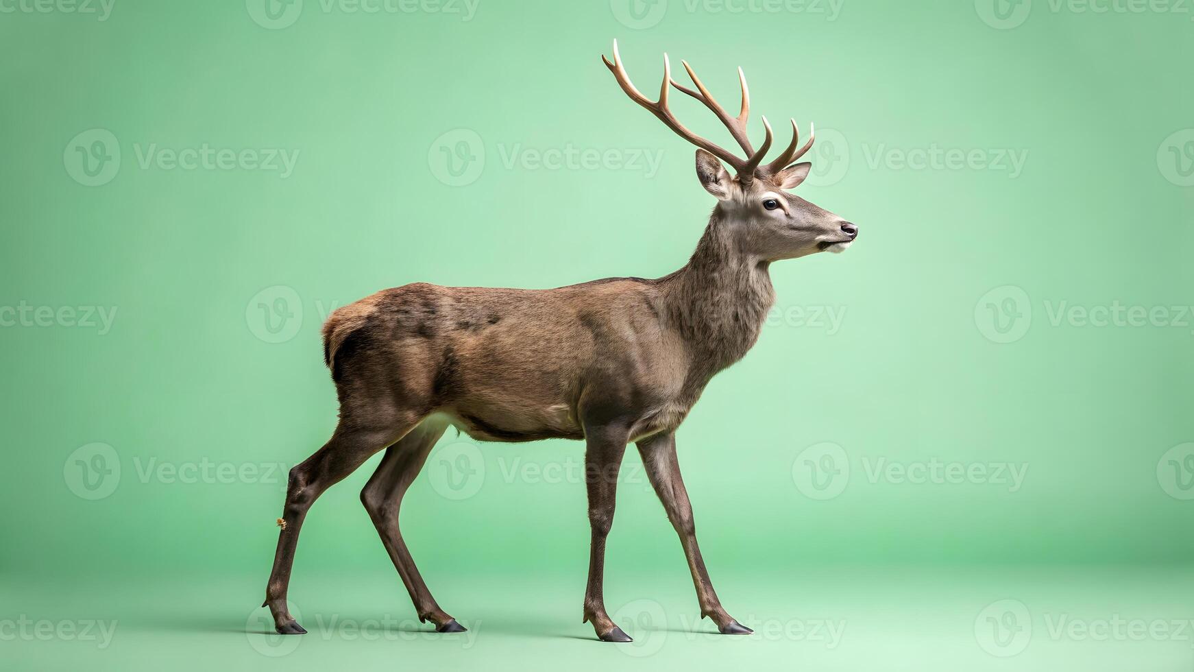 Majestic deer standing calmly against a soft green backdrop in a studio photo