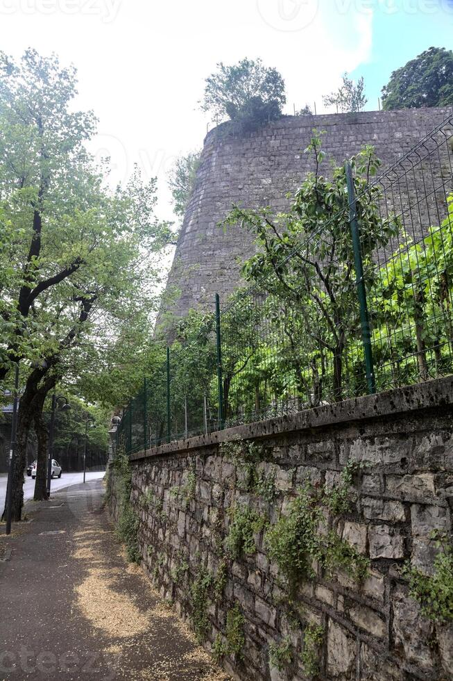 Pavement bordered by trees and a fortification on a sunny day photo