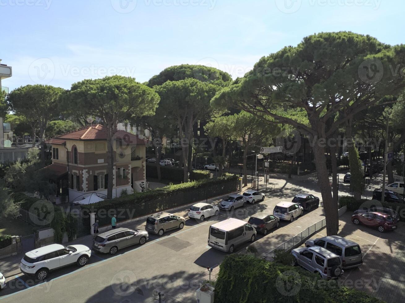 Street bordered by maritime pines that leads to the seashore on a sunny day seen from above photo