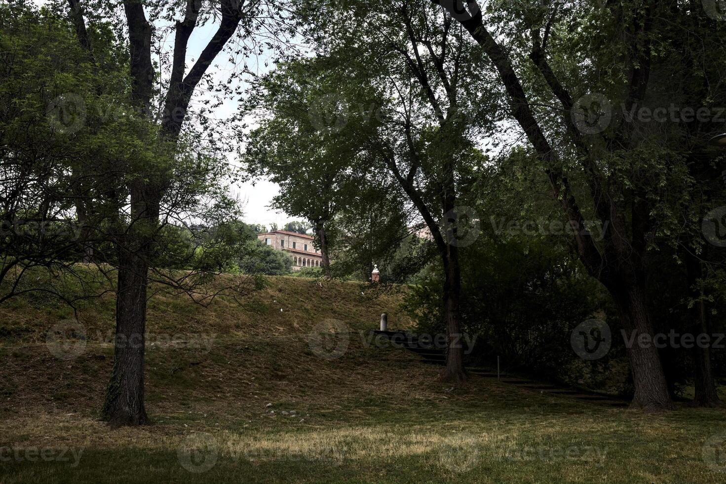 Embankments in a park with a stone staircase at their bottom photo
