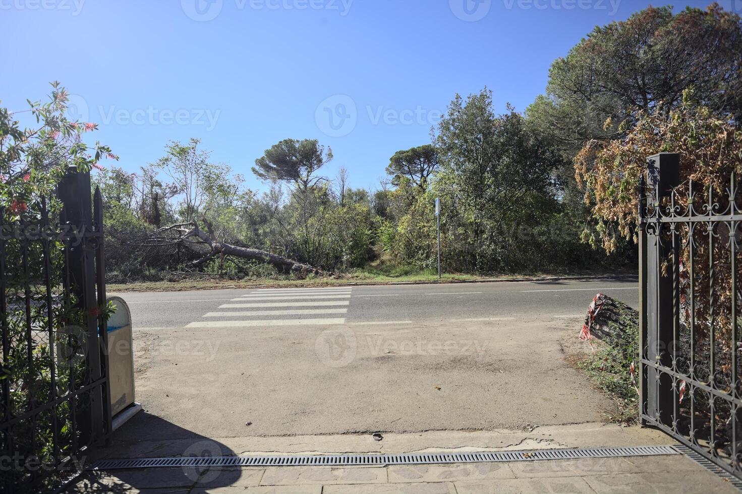 Opened gate on a crossing by the edge of a road on a sunny day photo