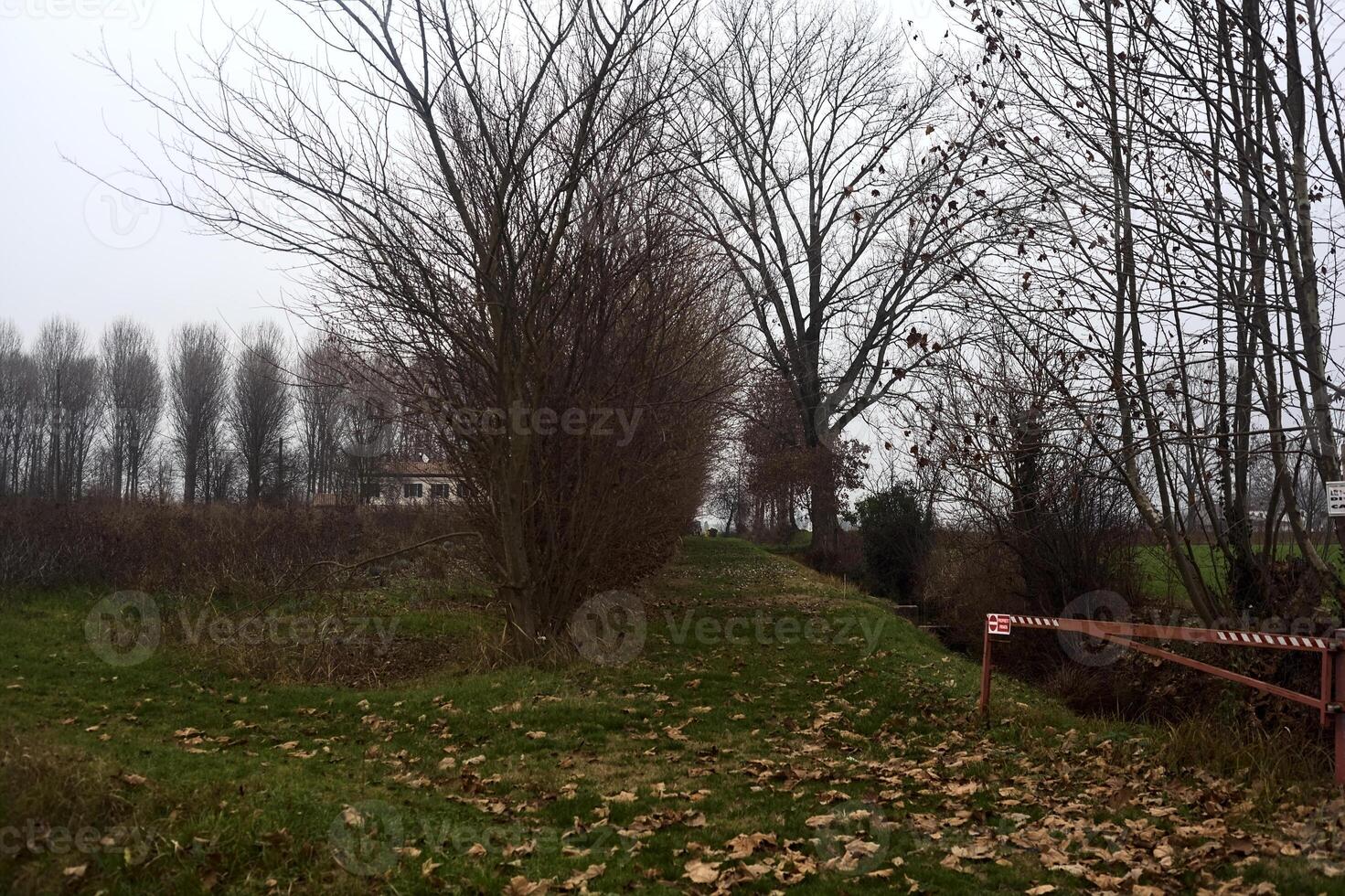 Dirt path bordered by bare plants and trees blocked by a bar next to a field on a cloudy day in the italian countryside photo