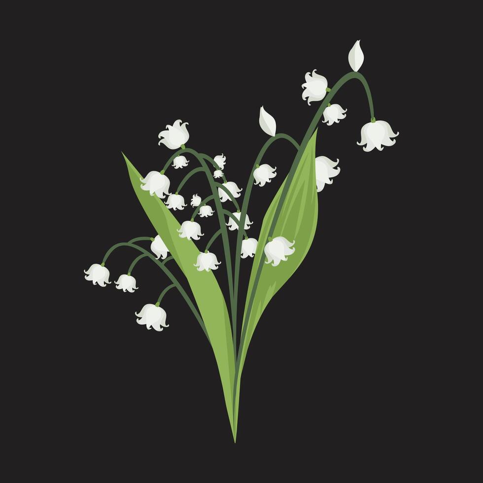 Lily of the Valley Delicate White Blooms in Spring vector