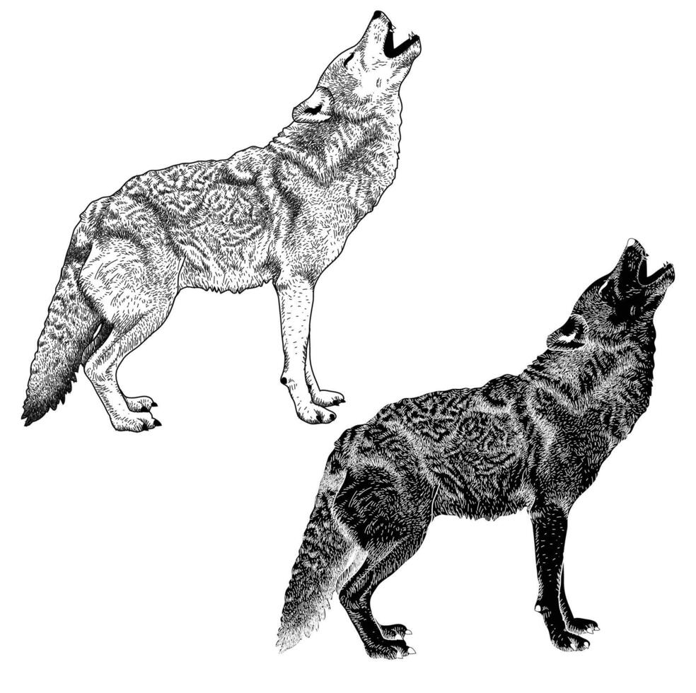 Black and white hand drawn howling wolf isolated on white background vector