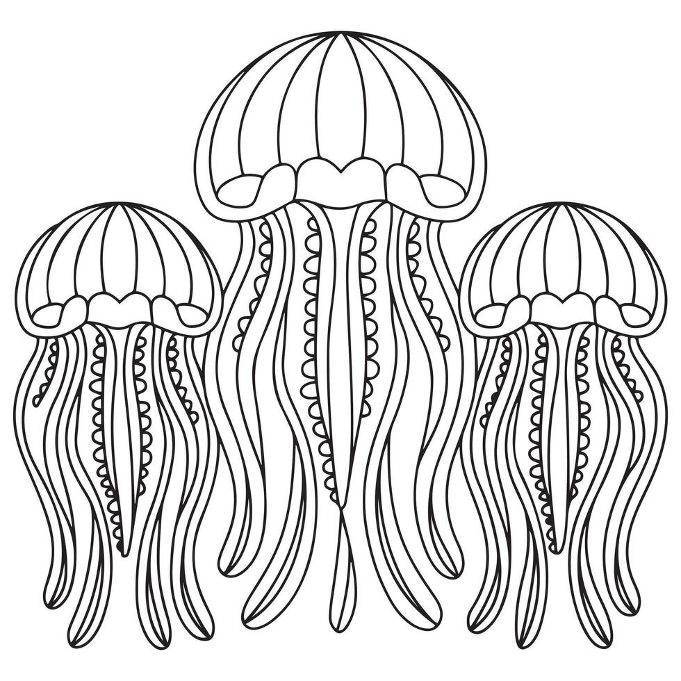 coloring page for adults, jellyfish with vector