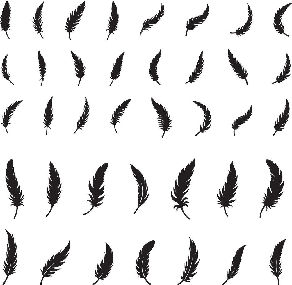 Set of Black Feather Silhouettes vector