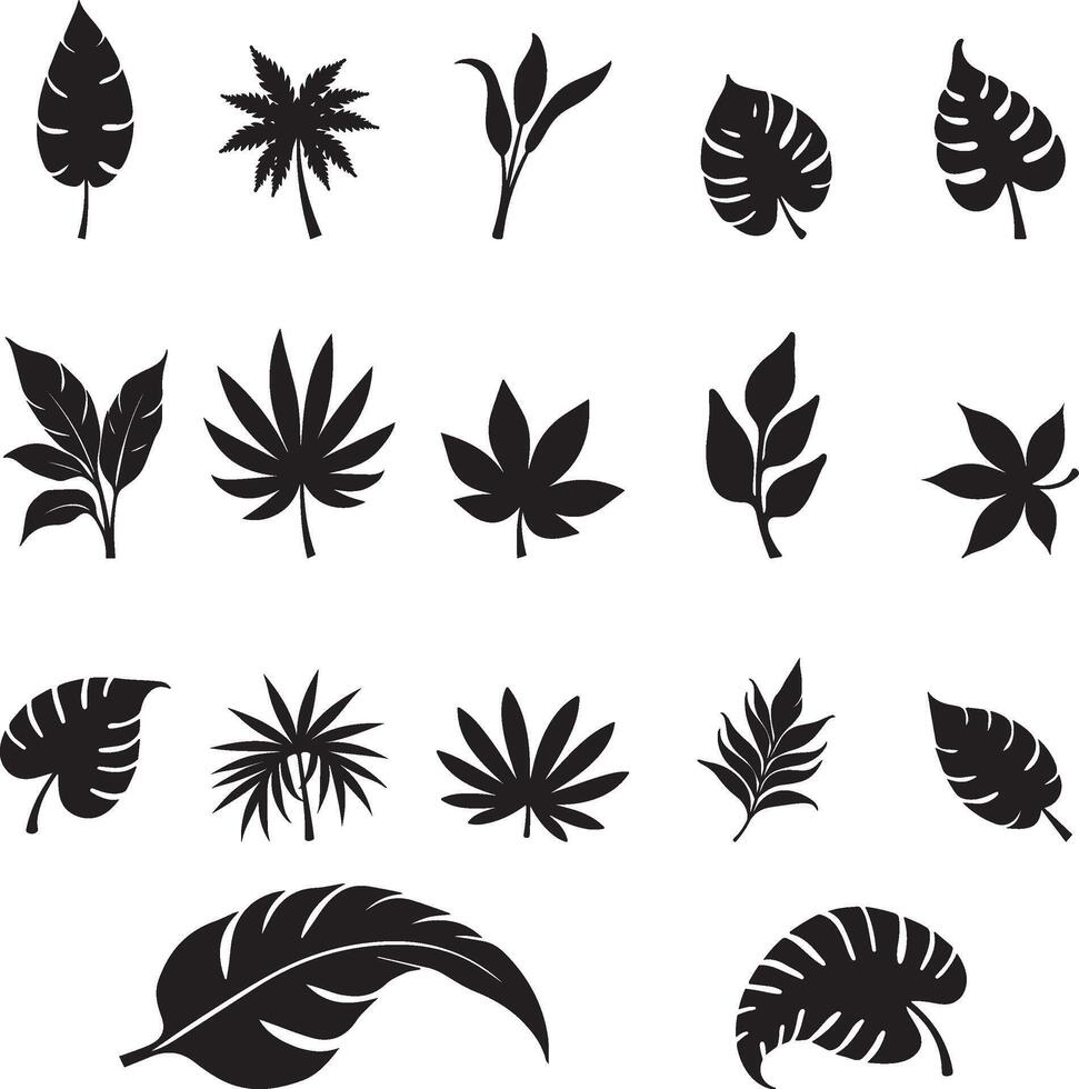 Tropical Leaf Silhouette Bundle vector