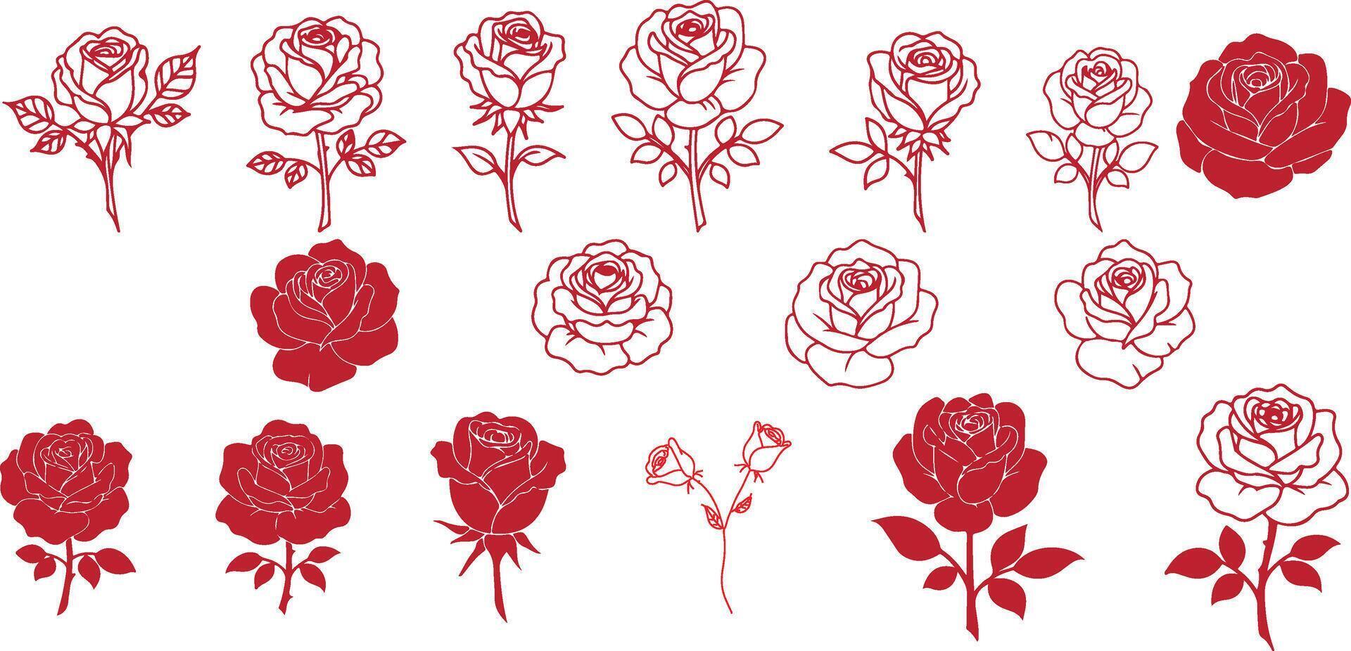 Minimalist Rose Illustrations vector