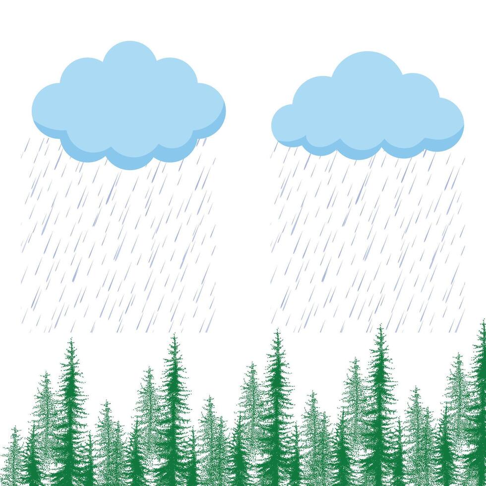 Rain over a Forest of Evergreen Trees vector