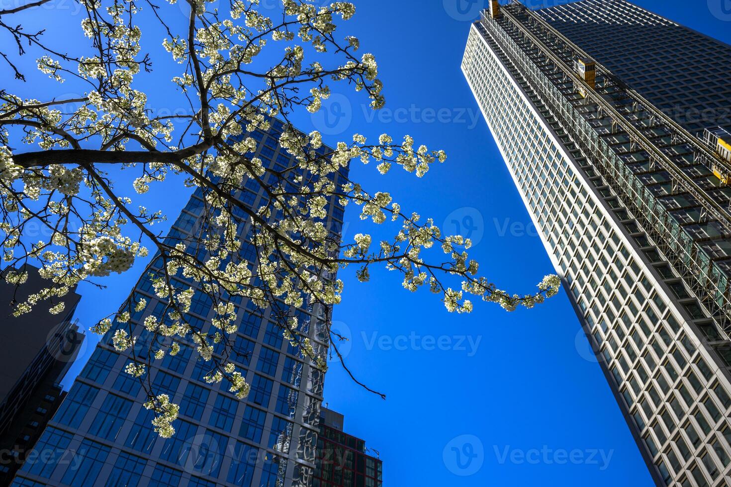 April In Downtown Brooklyn photo