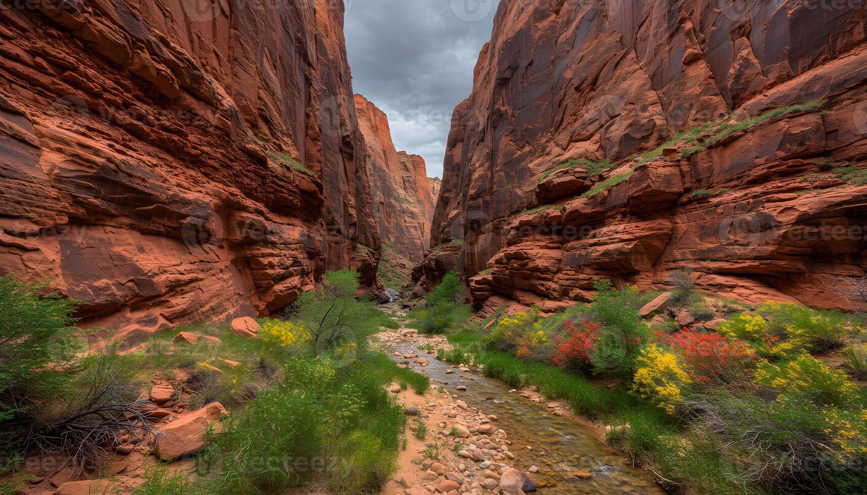 Narrow canyon with towering red rock walls and lush vegetation surrounding small flowing stream photo