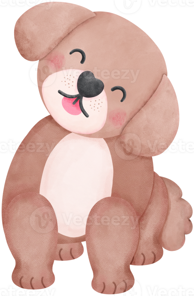 Shih Tzu Dog tilts his head Cartoon Set in watercolor style with Different Poses and Expressions png