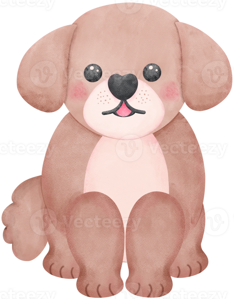 Shih Tzu Dog sitting in watercolor style illustration with Different Poses and Expressions png