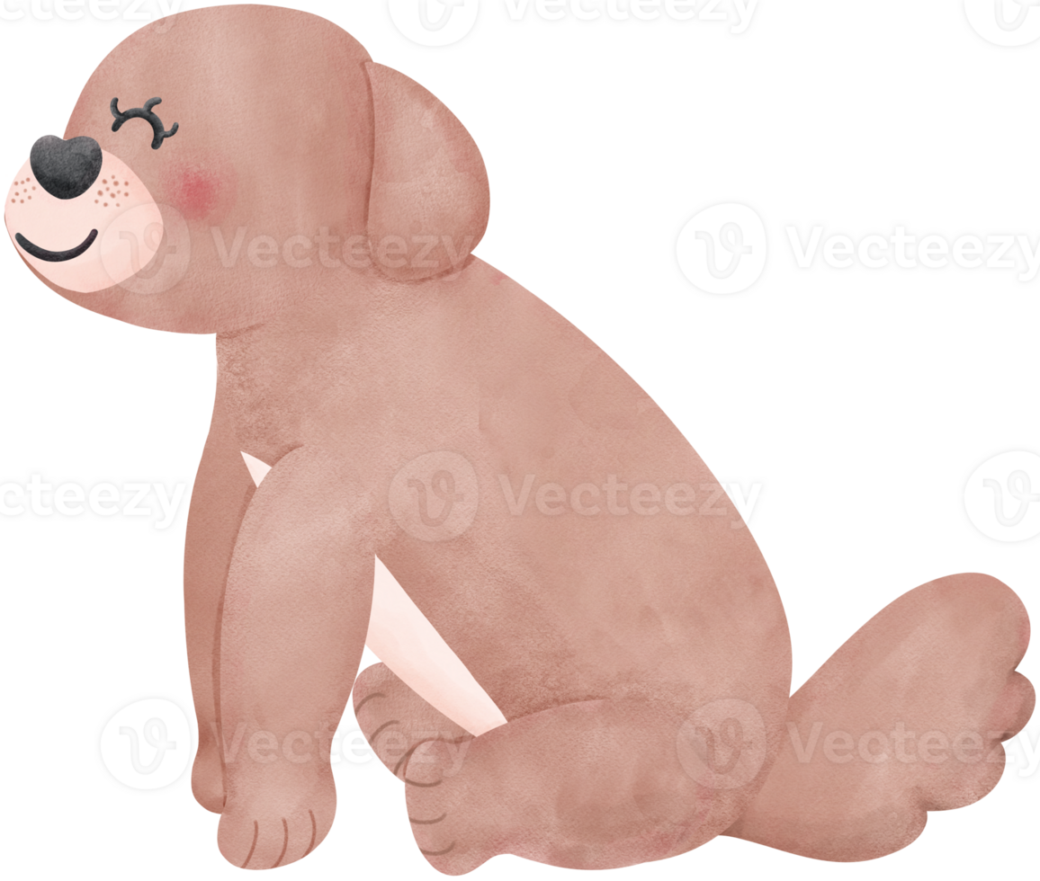 Shih Tzu Dog smiling Cartoon Set in watercolor style with Different Poses and Expressions png