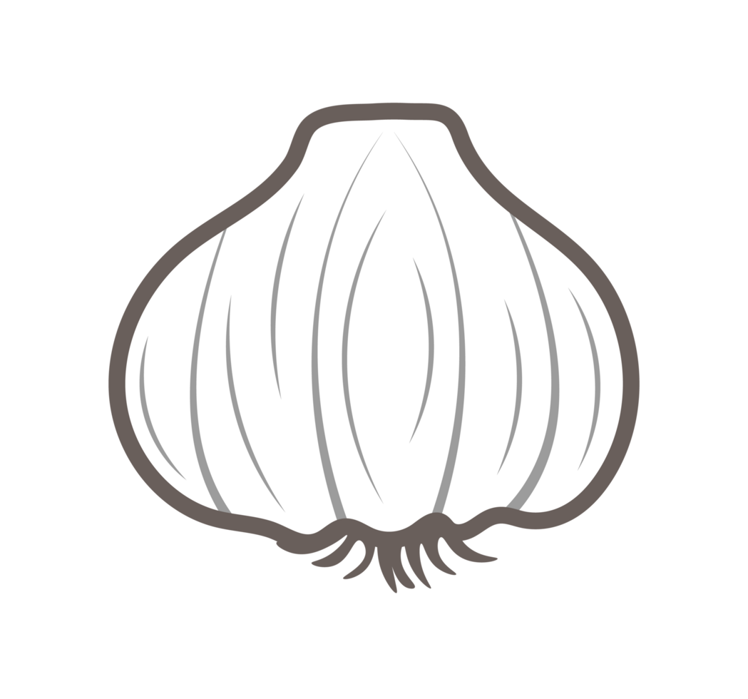 Garlic Illustration Simple Outline, Cooking Ingredient Clean outline illustration of a garlic bulb. Transparent background. png