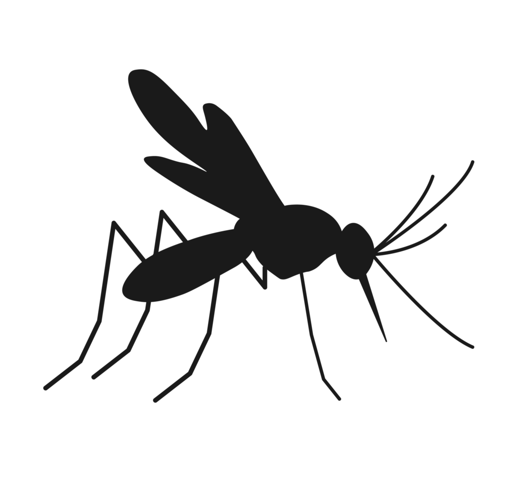 Black Mosquito Silhouette Illustration. Simple Black Flying Pest Graphic. Stylized Mosquito Outline in Black. Black Mosquito icon design. png