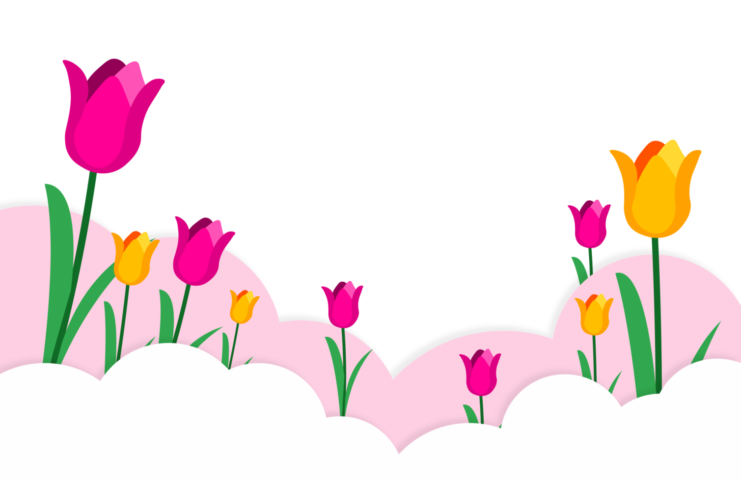 Tulip Border Illustration. Colorful Spring Flowers, Decorative Frame - Cheerful border with pink and yellow tulips on green stems. Transparent background. Tulip flower background. png