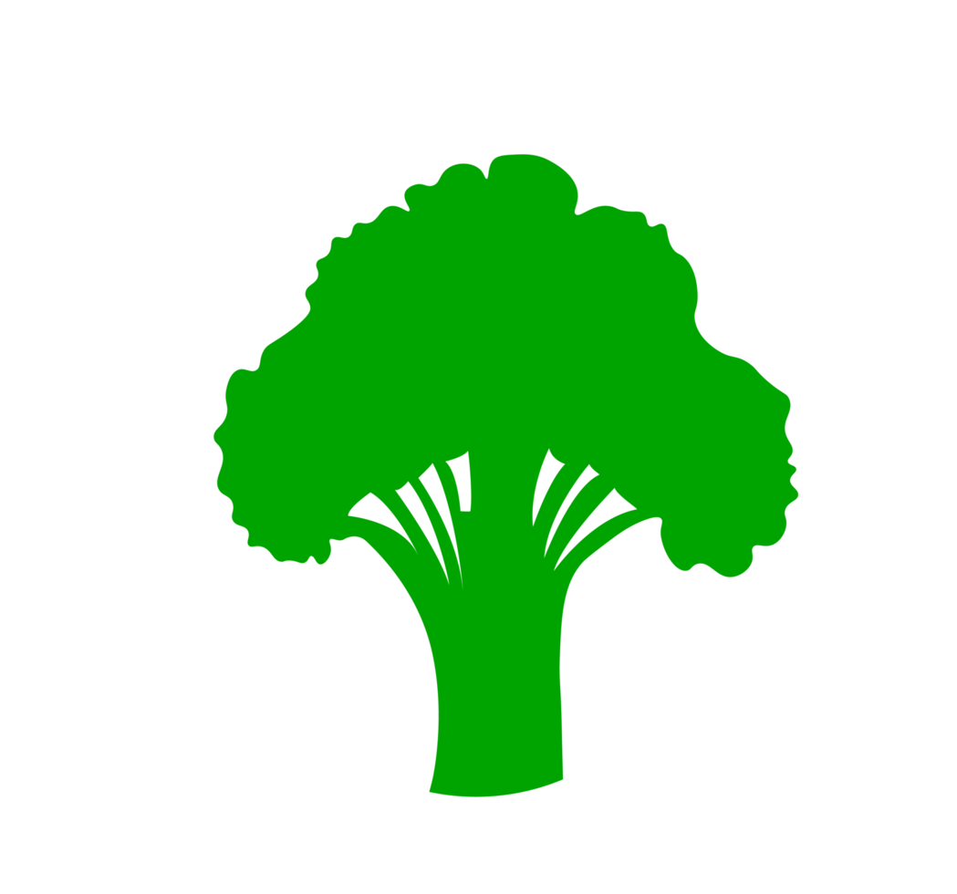 Broccoli Silhouette Illustration. Green Vegetable Shape - Clean and simple green silhouette of a head of broccoli. Transparent background. png