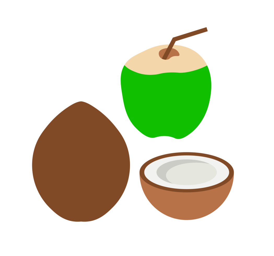 Coconut Illustration Set. Whole, Half, and Drink Vibrant illustration of different forms of a coconut. Transparent background. summer Coconut design. png