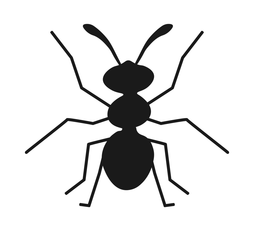 Black Ant Silhouette Illustration. Ant design. Ant icon. png