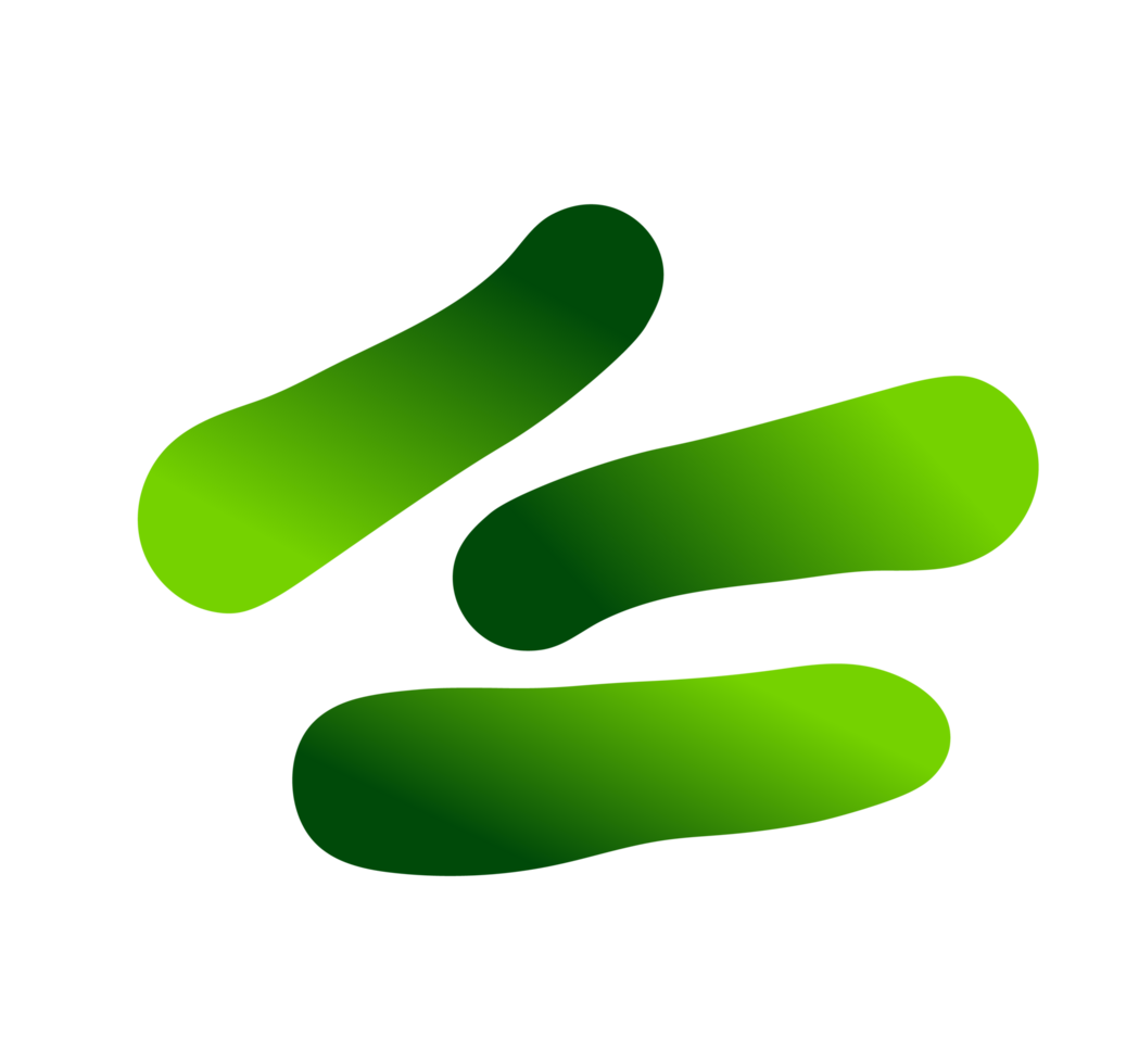 Green Cucumber Illustration Fresh Vegetable, Healthy Food Simple and fresh illustration of three green cucumbers. Transparent background. png