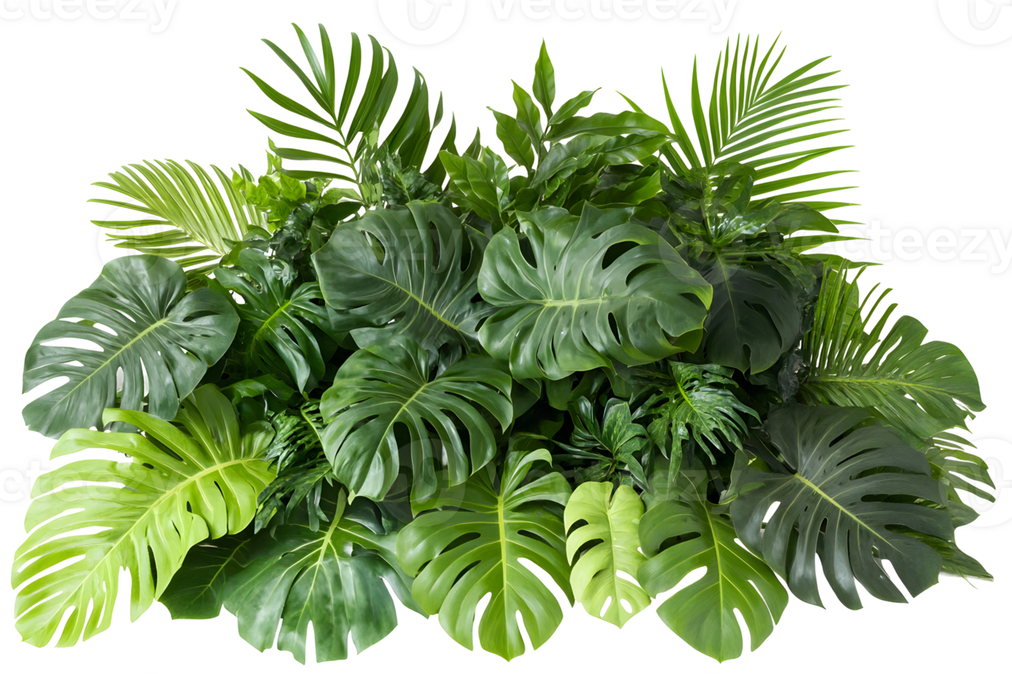 Abundant verdant foliage features varied leaf shapes, creating a dense and lush botanical arrangement png