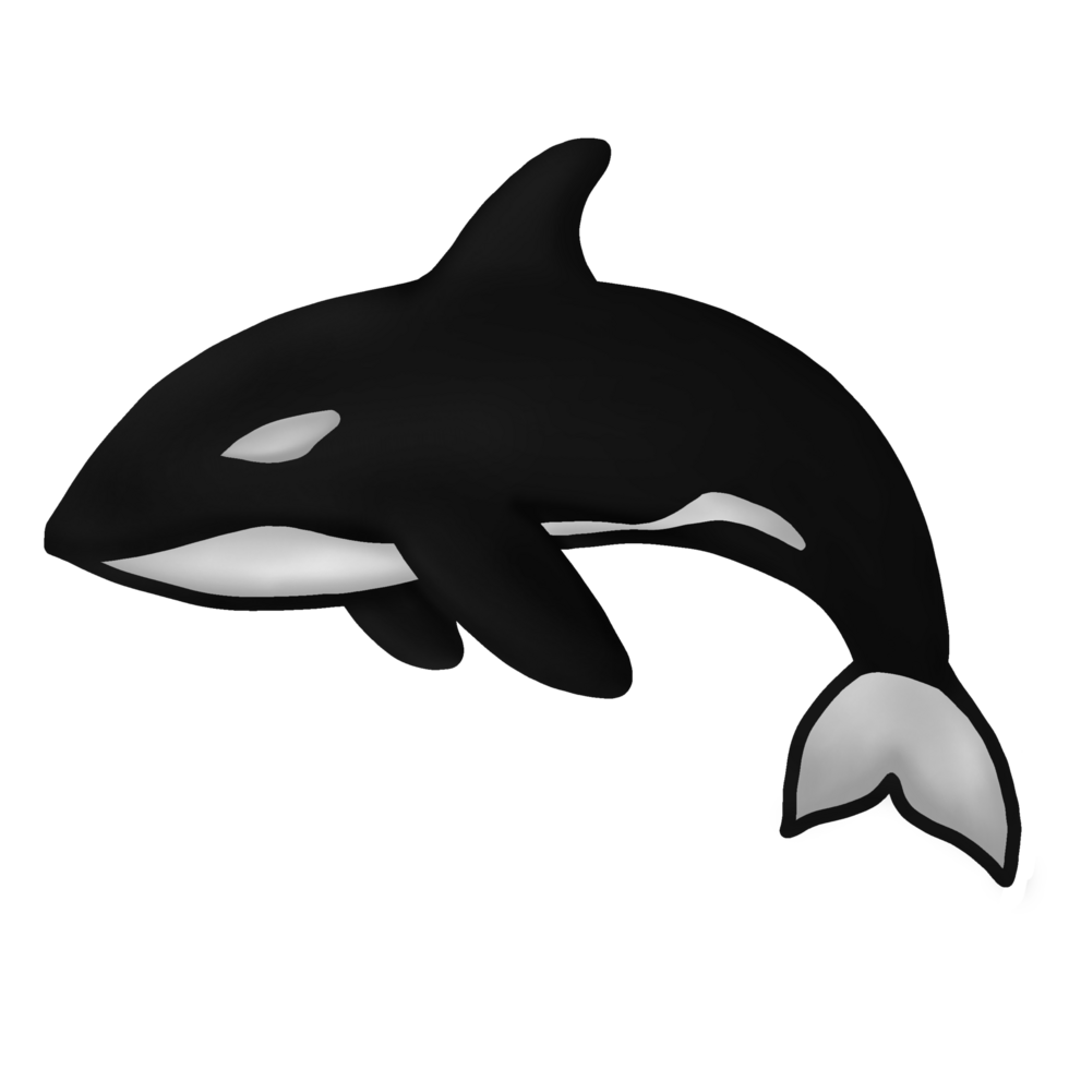 ocra whale jumping illustration png