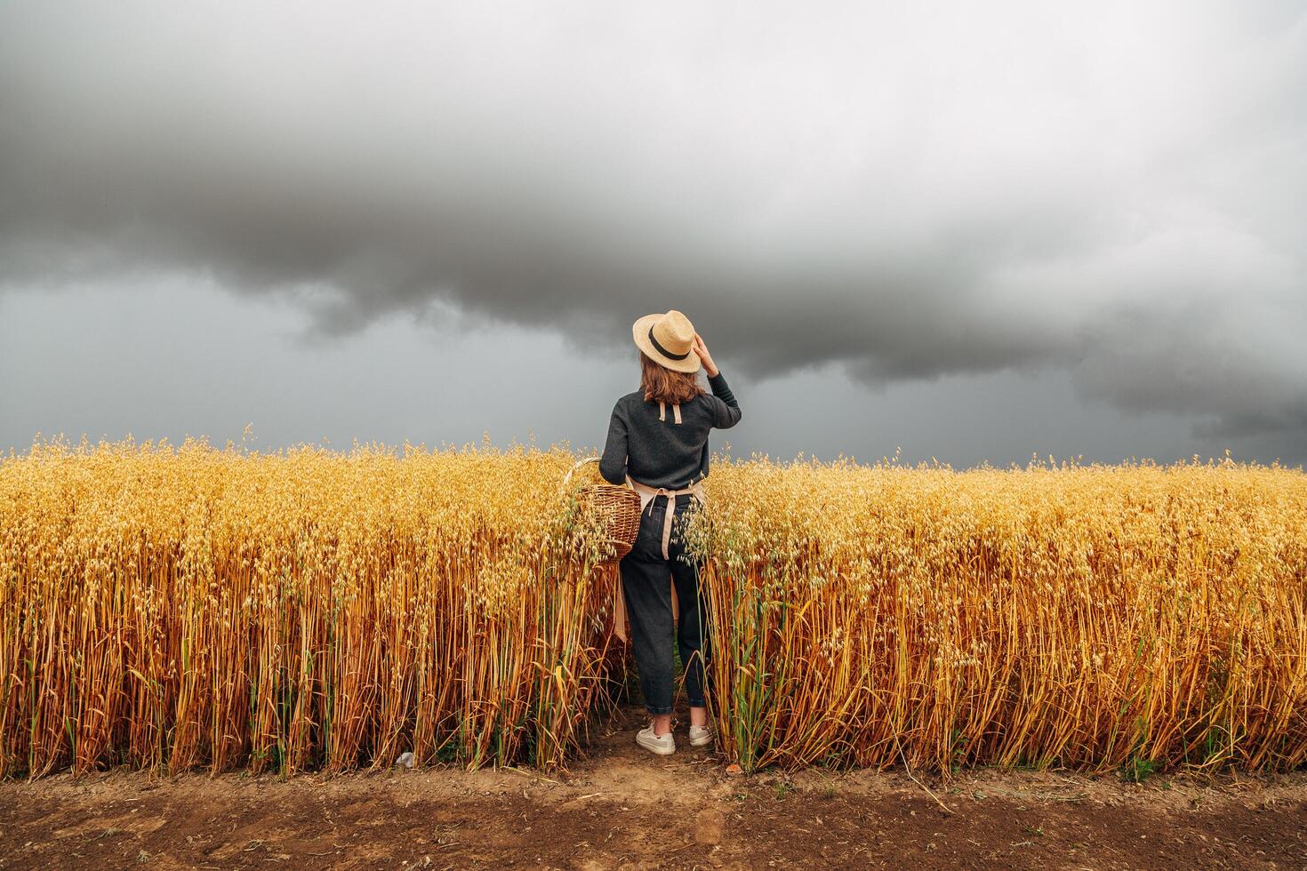 Kaliningrad, RUSSIA - July 29, 2022. Girl in a wheat field wearing a straw hat on a cloudy day. Back view photo