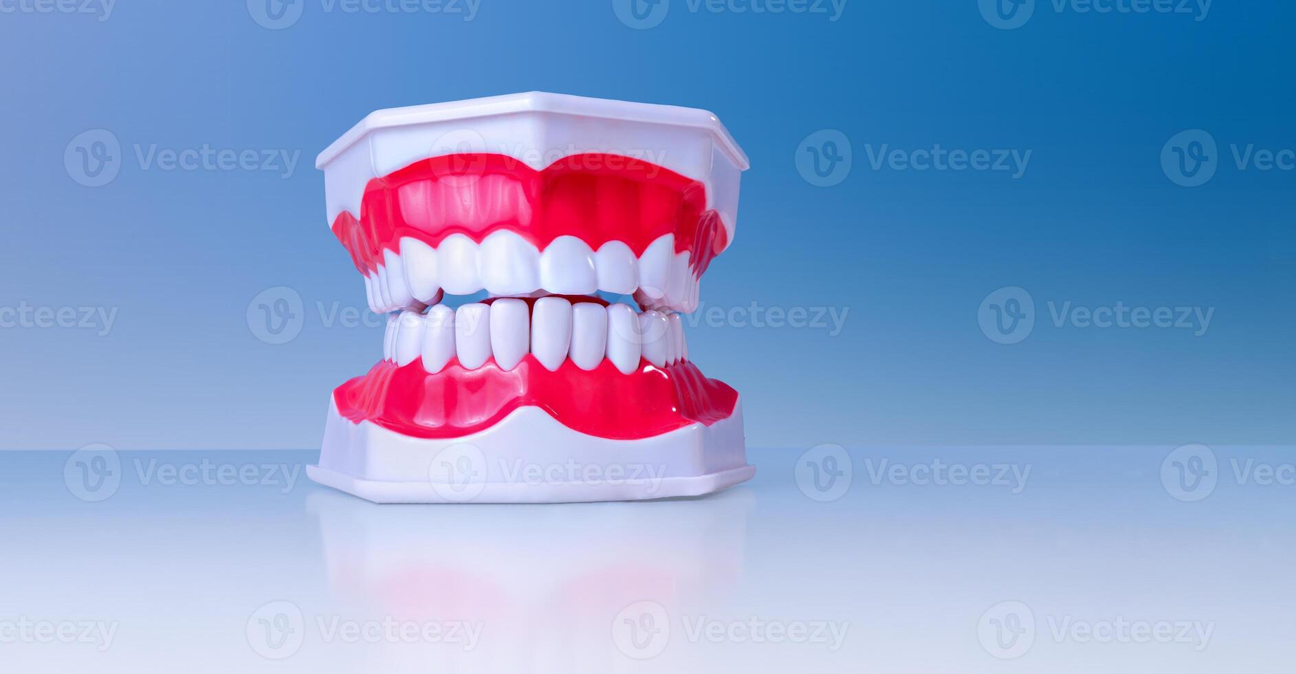 Chattering teeth toy with big red gums on reflective surface against blue background photo
