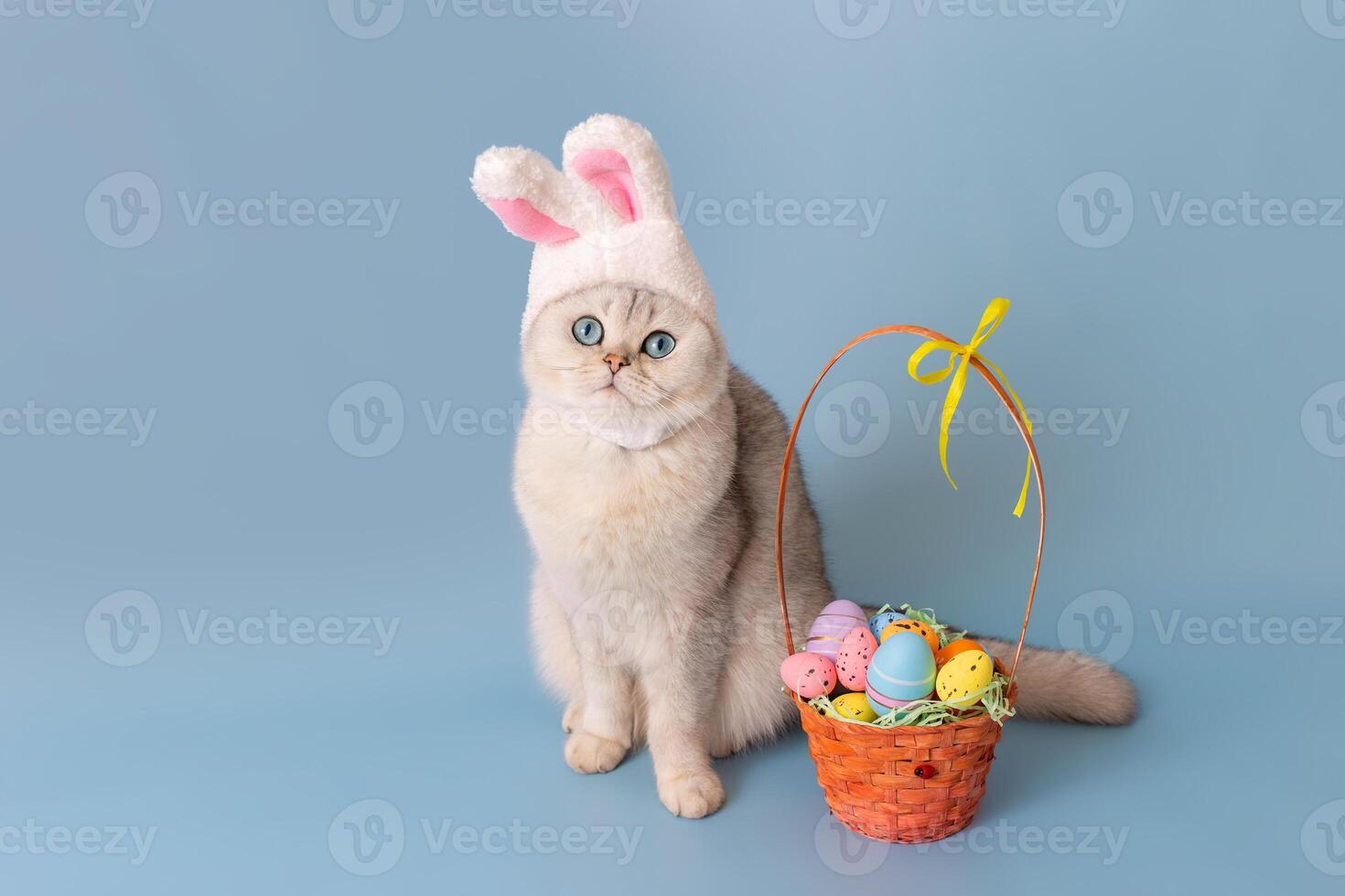 Adorable white cat in hat with bunny ears and Easter basket with colorful eggs on blue background photo