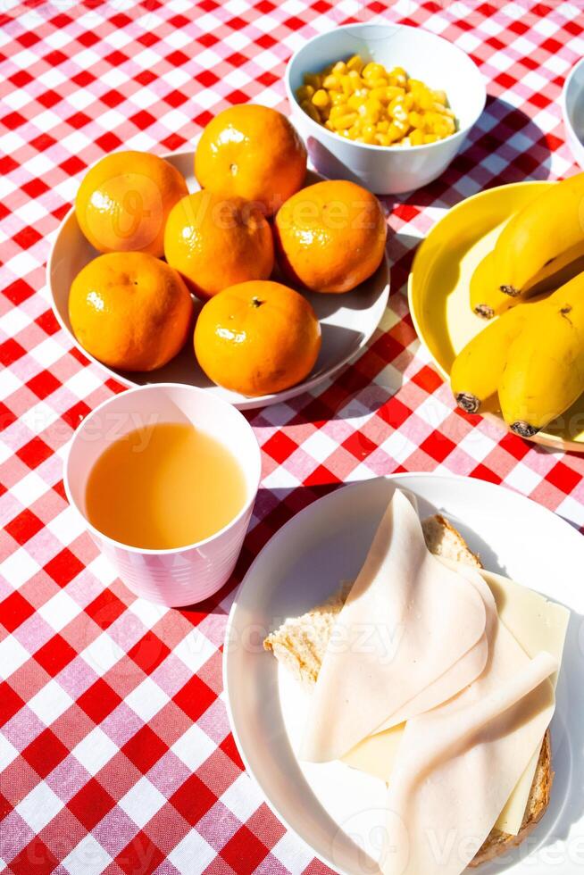 Picnic table with fruit, cheese sandwich, and juice on checkered cloth photo