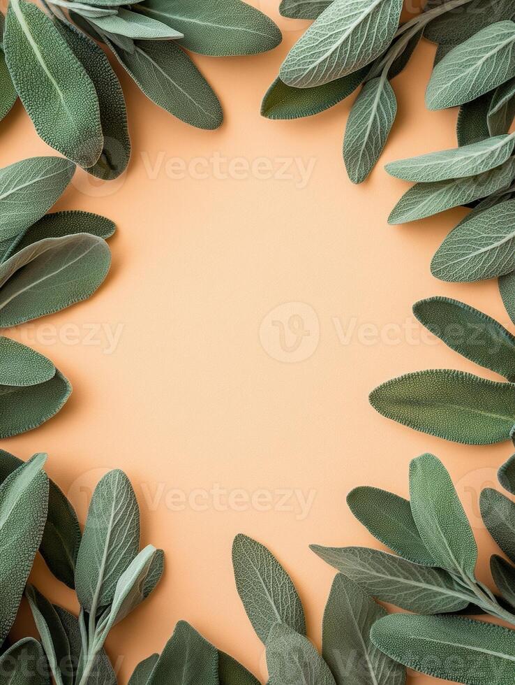 Ultra realistic soft sage leaves forming a frame on minimal background photo