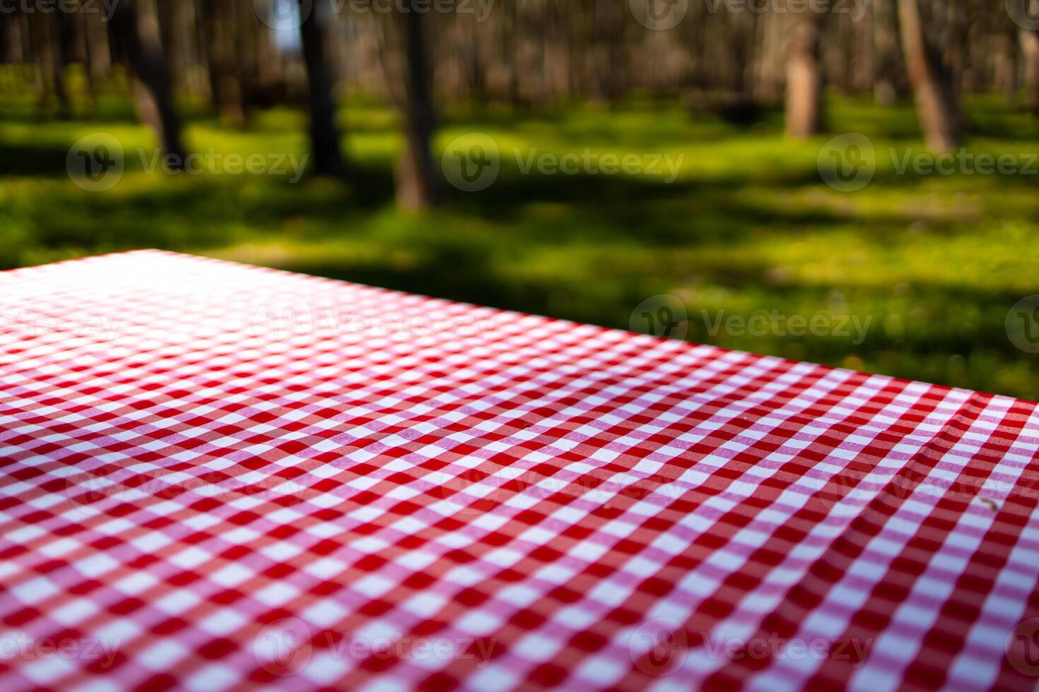 Red checkered picnic tablecloth on table in sunlit forest photo
