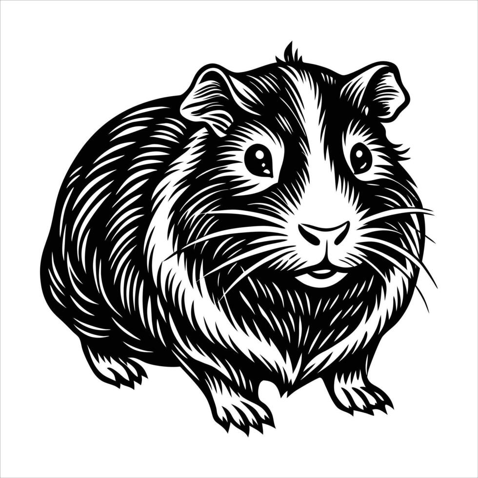 minimalist line art guinea pig vector