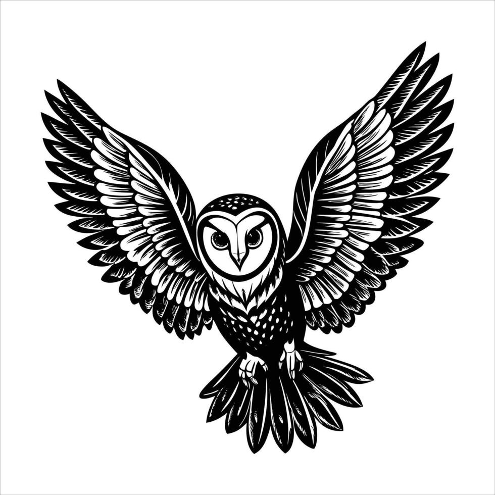 Barn Owl With Wing vector