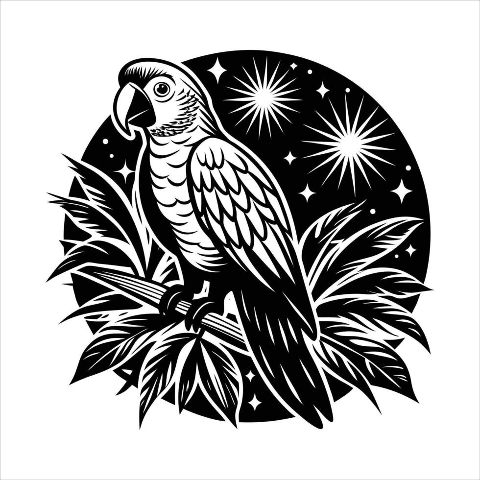 Parrots Tropical Rainforest vector