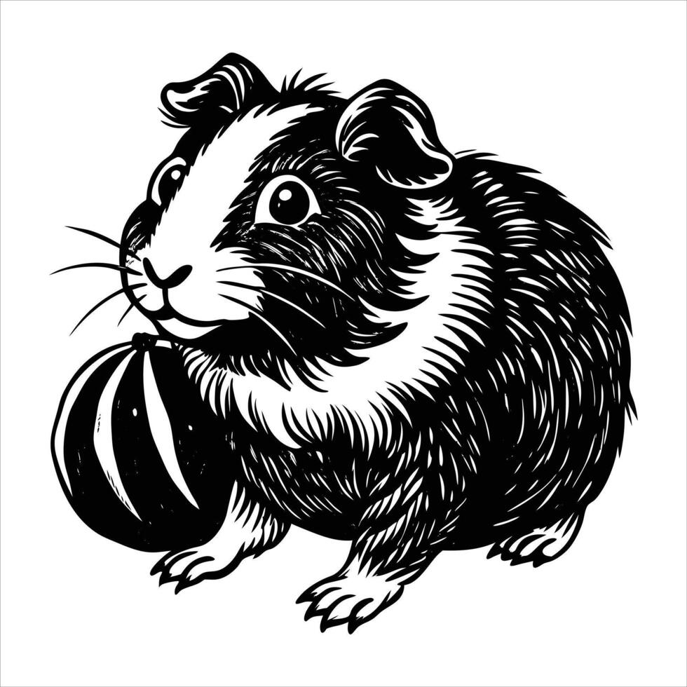 guinea pig playing with ball vector