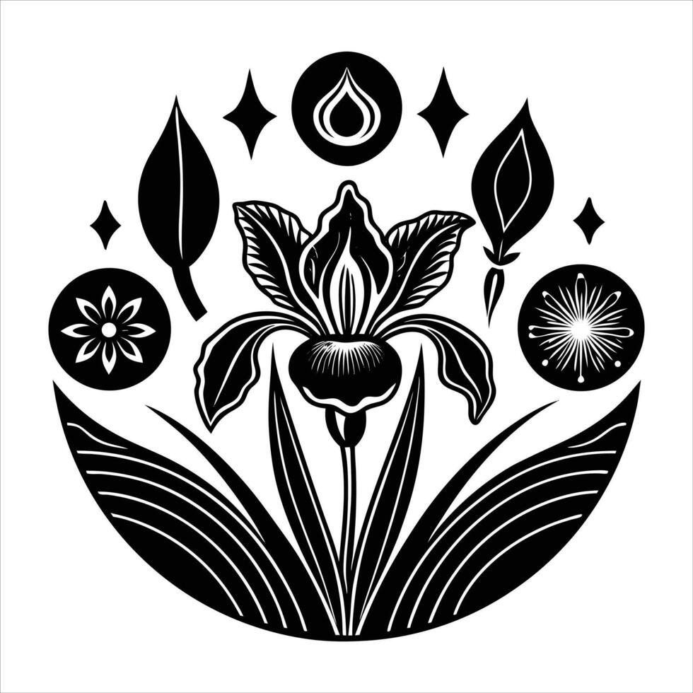 discuss the meaning of iris flower vector