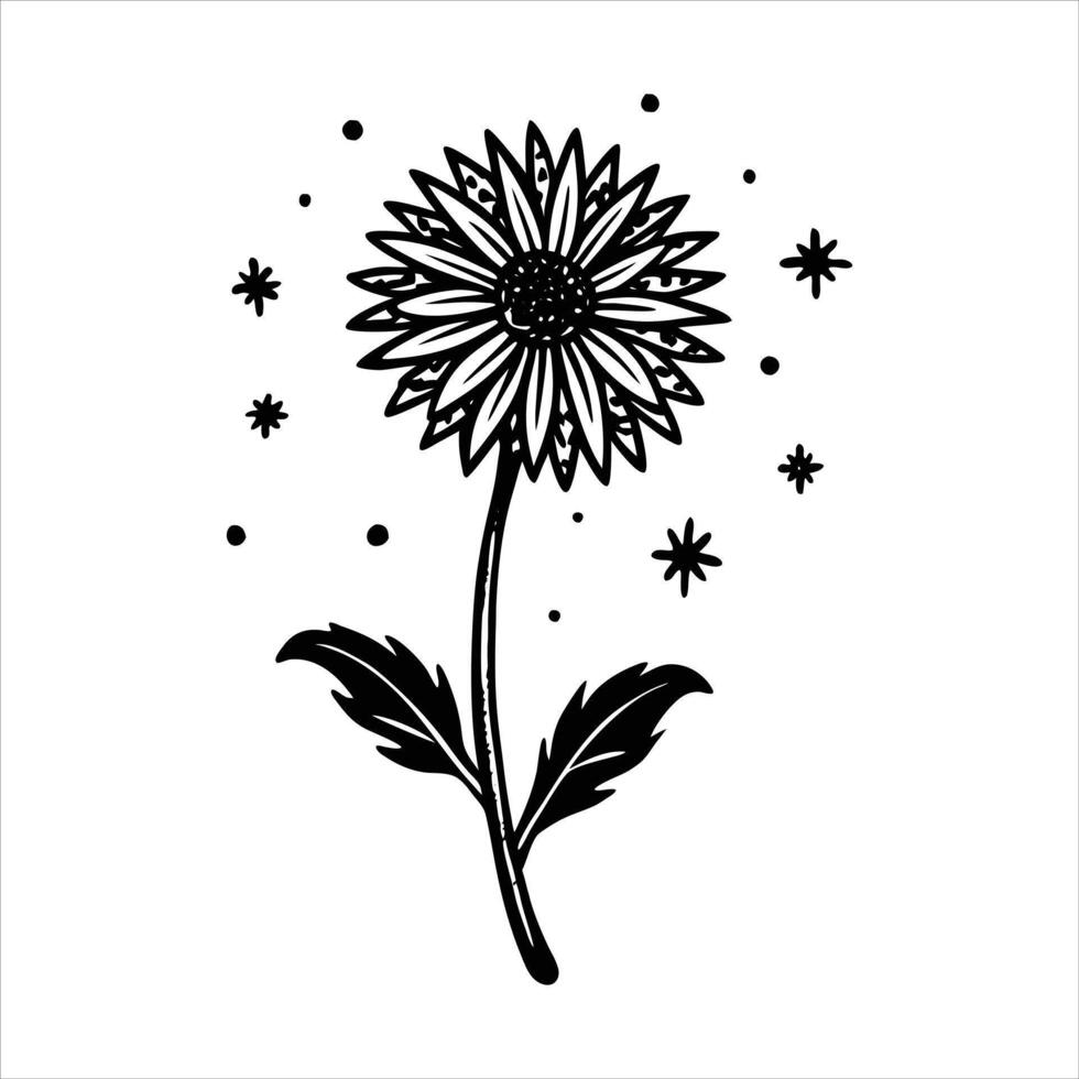 wishing weed a humble overlooked wildflower vector