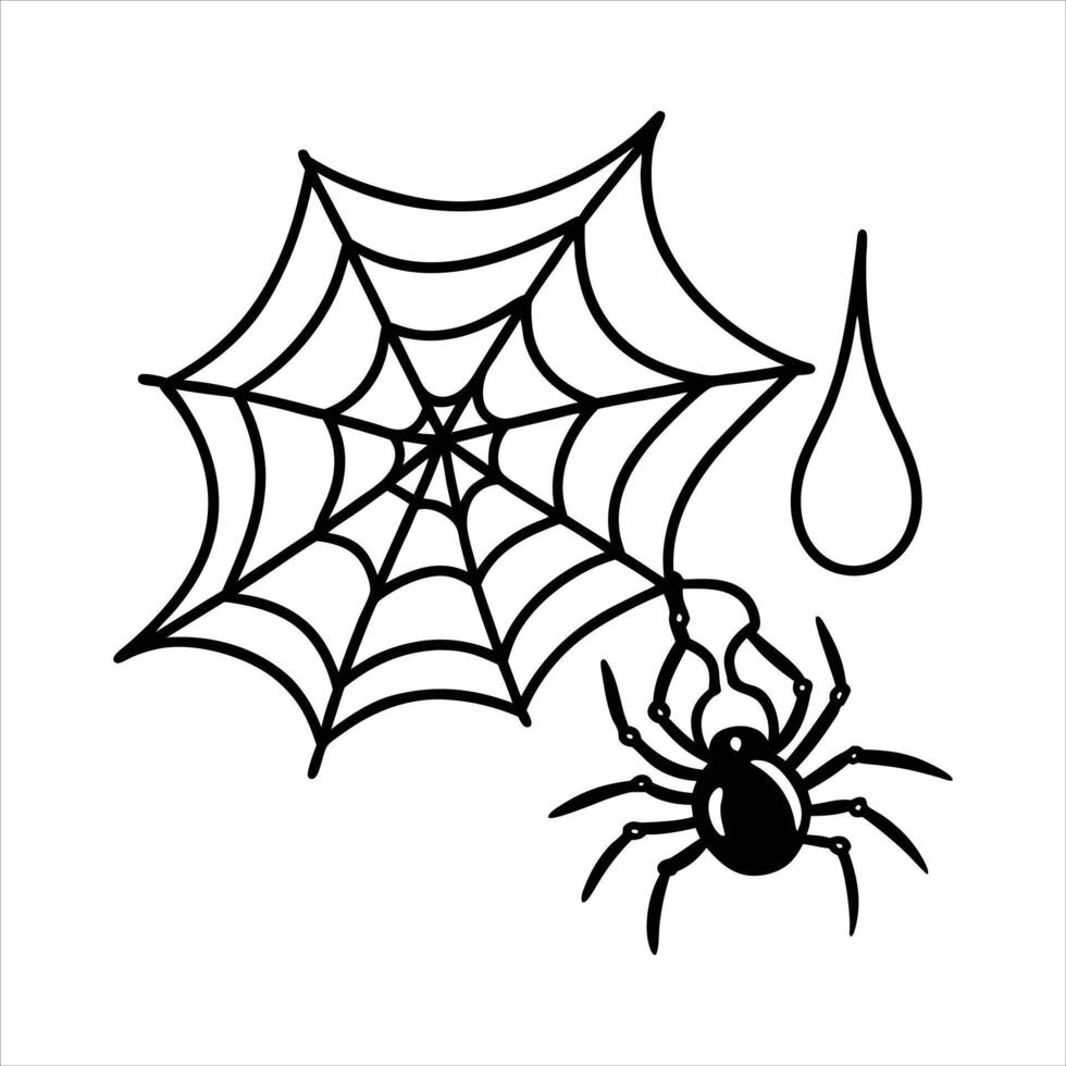 A spider drinking a droplet of water vector