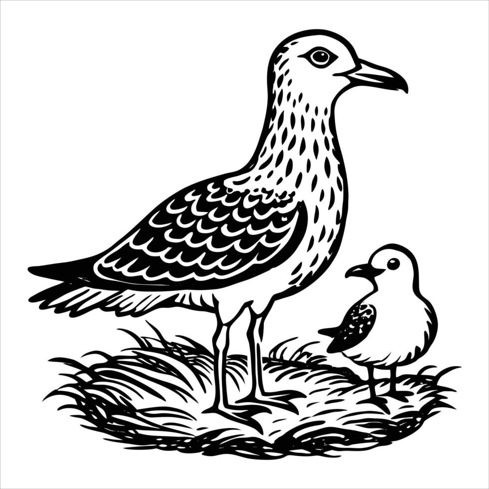baby seagull chick standing mothers vector